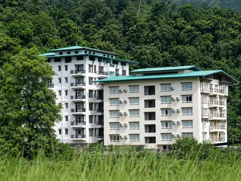 Back View
